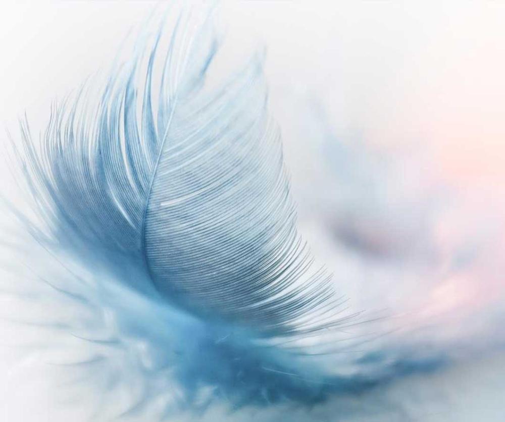 plume